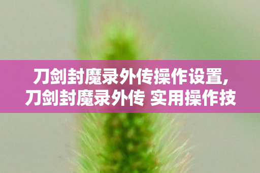 刀剑封魔录外传 实用操作技巧全指南图片