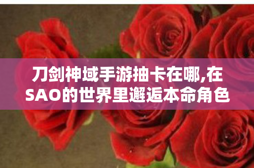 刀剑神域手游抽卡的乐趣与小确幸图片