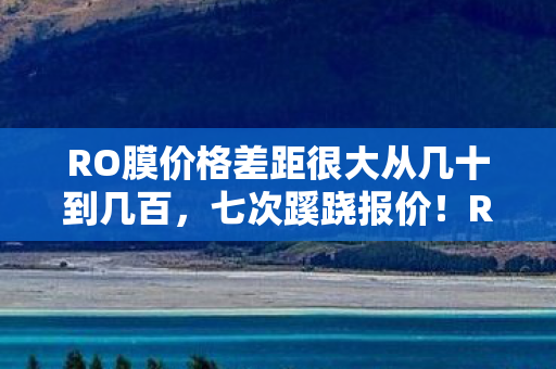 RO膜价格差距很大从几十到几百图片