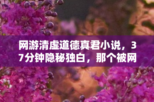 那个被网游道德委员会点名的深夜图片