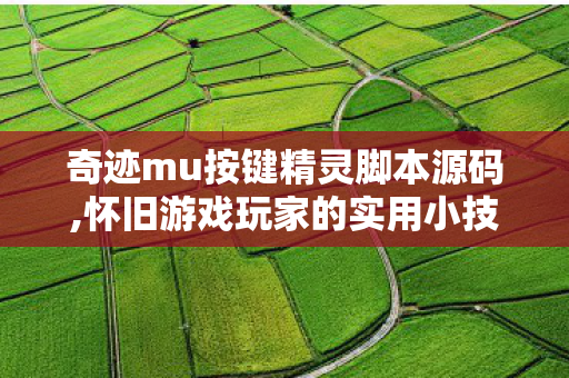 奇迹MU与按键精灵的合理搭配指南图片