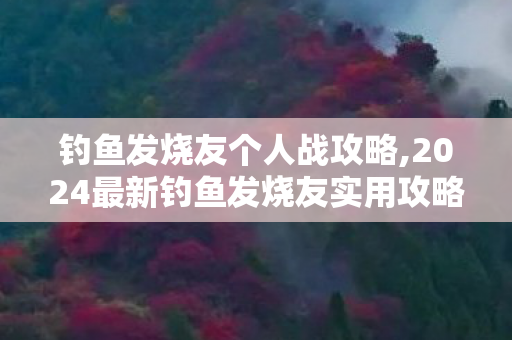 2024最新钓鱼发烧友实用攻略图片