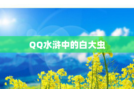 QQ水浒中的白大虫图片