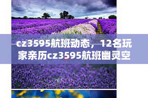 12名玩家亲历cz3595航班幽灵空姐事件图片