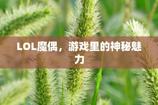 游戏里的神秘魅力图片