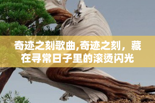 奇迹之刻歌曲,奇迹之刻,藏在寻常日子里的滚烫闪光 奇迹之刻歌曲,奇迹之刻,藏在寻常日子里的滚烫闪光