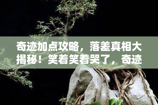 奇迹加点攻略,落差真相大揭秘!笑着笑着哭了,奇迹私服,骂完还得回来舔? 奇迹加点攻略,落差真相大揭秘!笑着笑着哭了,奇迹私服,骂完还得回来舔?
