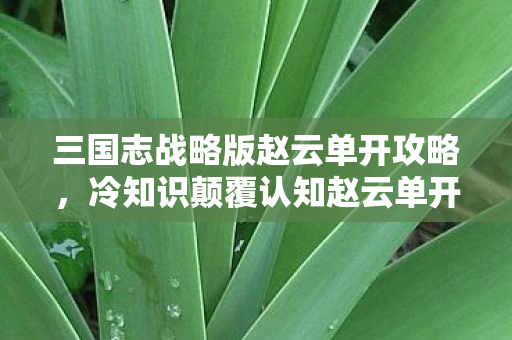 三国志战略版赵云单开攻略,冷知识颠覆认知赵云单开竟藏惊天秘密?这些设计让你目瞪口呆! 三国志战略版赵云单开攻略,冷知识颠覆认知赵云单开竟藏惊天秘密?这些设计让你目瞪口呆!