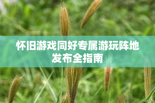 怀旧游戏同好专属游玩阵地发布全指南 怀旧游戏同好专属游玩阵地发布全指南