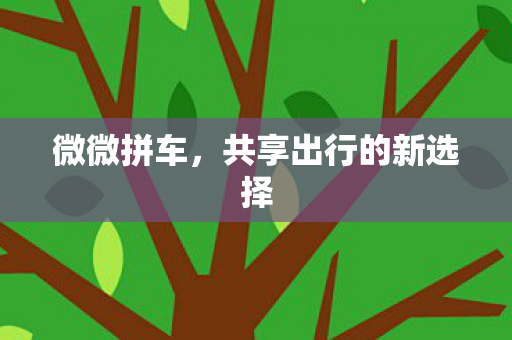 共享出行的新选择图片