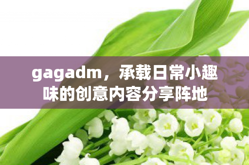 gagadm,承载日常小趣味的创意内容分享阵地 gagadm,承载日常小趣味的创意内容分享阵地