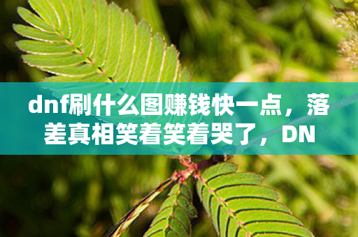 dnf刷什么图赚钱快一点,落差真相笑着笑着哭了,DNF搬砖图里藏着我的尊严与自欺 dnf刷什么图赚钱快一点,落差真相笑着笑着哭了,DNF搬砖图里藏着我的尊严与自欺