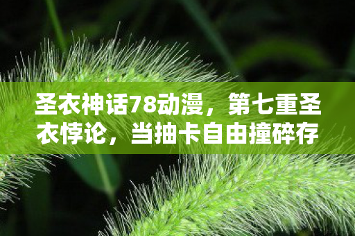 圣衣神话78动漫，第七重圣衣悖论，当抽卡自由撞碎存在主义铁壁（2027）