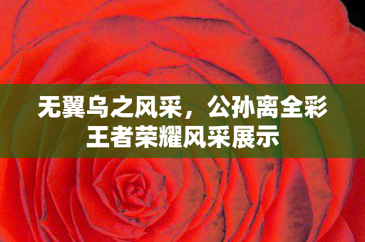 公孙离全彩王者荣耀风采展示图片