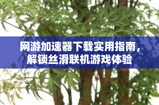 网游加速器下载实用指南,解锁丝滑联机游戏体验 网游加速器下载实用指南,解锁丝滑联机游戏体验