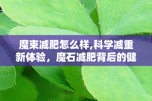 魔束减肥怎么样,科学减重新体验,魔石减肥背后的健康逻辑与正确打开方式 魔束减肥怎么样,科学减重新体验,魔石减肥背后的健康逻辑与正确打开方式