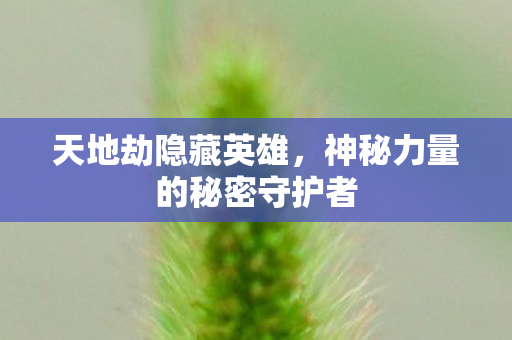 神秘力量的秘密守护者图片