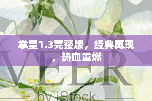 3完整版图片