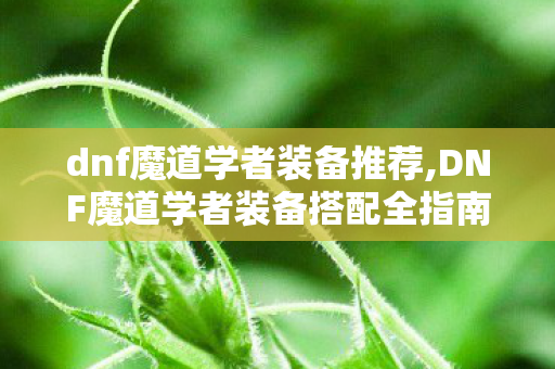 dnf魔道学者装备推荐,DNF魔道学者装备搭配全指南,从入门到毕业的实用思路 dnf魔道学者装备推荐,DNF魔道学者装备搭配全指南,从入门到毕业的实用思路