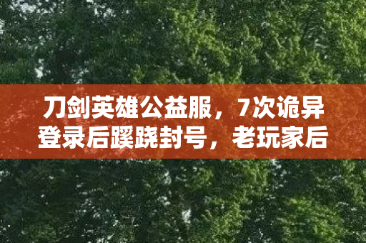 刀剑英雄公益服,7次诡异登录后蹊跷封号,老玩家后背发凉,私服里藏着谁的眼睛? 刀剑英雄公益服,7次诡异登录后蹊跷封号,老玩家后背发凉,私服里藏着谁的眼睛?