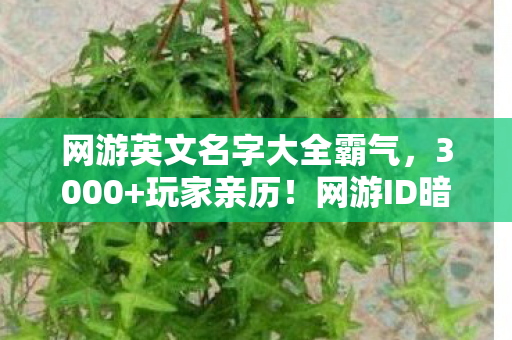 网游英文名字大全霸气,3000+玩家亲历!网游ID暗藏死亡倒计时?老炮,这破防理由我绷不住了! 网游英文名字大全霸气,3000+玩家亲历!网游ID暗藏死亡倒计时?老炮,这破防理由我绷不住了!