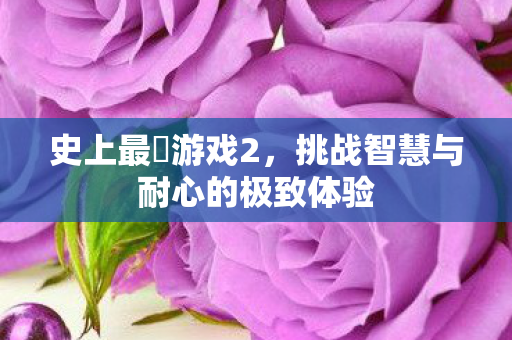 挑战智慧与耐心的极致体验图片