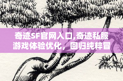 奇迹SF官网入口,奇迹私服游戏体验优化,回归纯粹冒险乐趣的正确打开方式 奇迹SF官网入口,奇迹私服游戏体验优化,回归纯粹冒险乐趣的正确打开方式