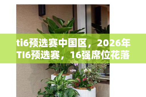 ti6预选赛中国区,2026年TI6预选赛,16强席位花落谁家?神秘黑马能否逆袭? ti6预选赛中国区,2026年TI6预选赛,16强席位花落谁家?神秘黑马能否逆袭?