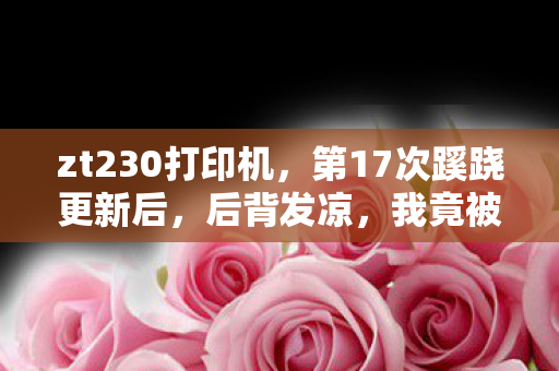 zt230打印机,第17次蹊跷更新后,后背发凉,我竟被游戏玩了半辈子? zt230打印机,第17次蹊跷更新后,后背发凉,我竟被游戏玩了半辈子?