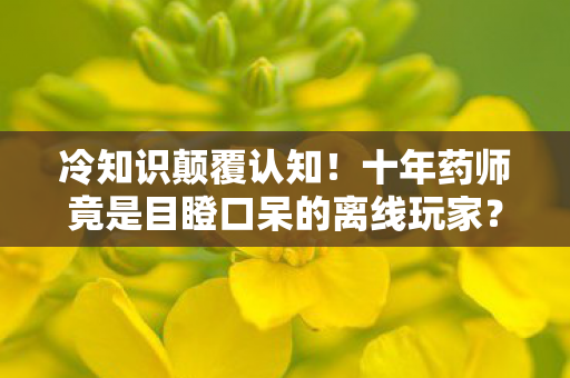 冷知识颠覆认知!十年药师竟是目瞪口呆的离线玩家? 冷知识颠覆认知!十年药师竟是目瞪口呆的离线玩家?