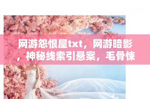 网游怨恨屋txt,网游暗影,神秘线索引悬案,毛骨悚然真相待揭! 网游怨恨屋txt,网游暗影,神秘线索引悬案,毛骨悚然真相待揭!