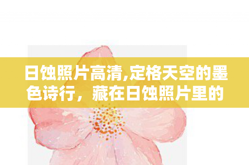 藏在日蚀照片里的宇宙浪漫图片