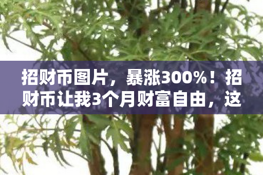 招财币让我3个月财富自由图片