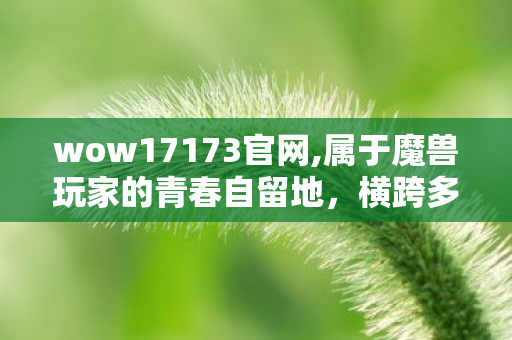 横跨多版本的游戏内容陪伴阵地图片