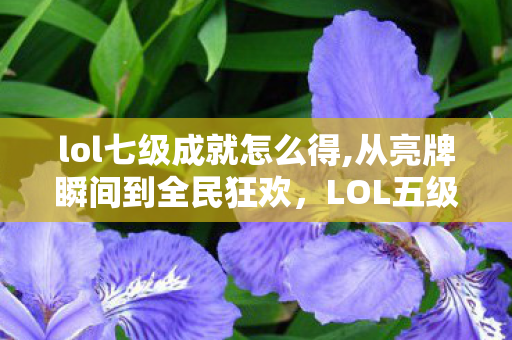 LOL五级成就活动藏着多少召唤师的青春印记图片