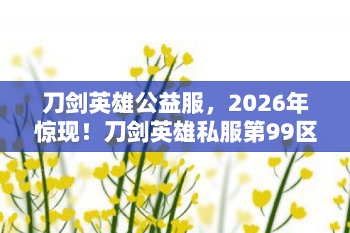 刀剑英雄私服第99区暗藏惊天秘密图片