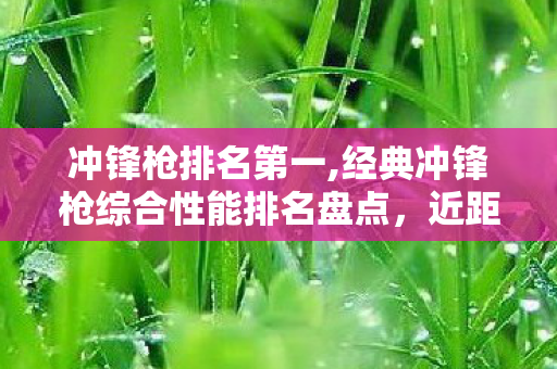 经典冲锋枪综合性能排名盘点图片