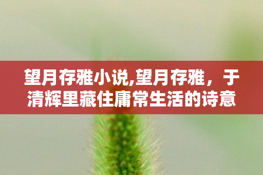 于清辉里藏住庸常生活的诗意内核图片