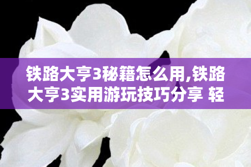 铁路大亨3实用游玩技巧分享 轻松搭建你的传奇铁路网络图片