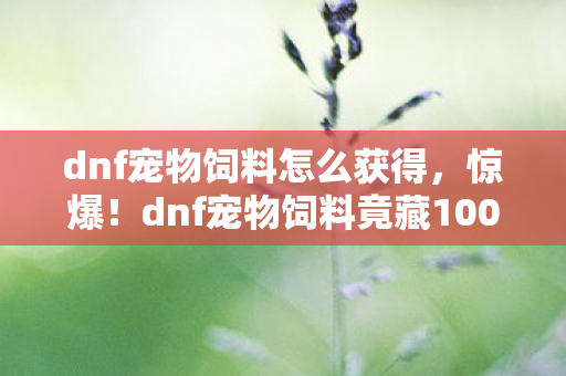 dnf宠物饲料竟藏100图片