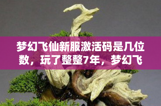 梦幻飞仙新服激活码是几位数图片