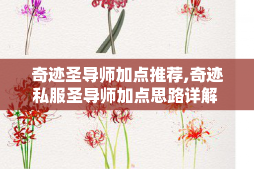 奇迹私服圣导师加点思路详解 适配全阶段成长需求图片