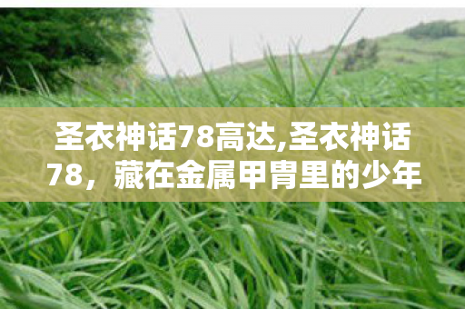 藏在金属甲胄里的少年热血余温图片