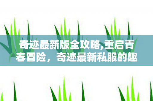 奇迹最新私服的趣味游玩新体验图片