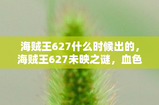 海贼王627什么时候出的图片