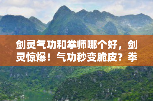 剑灵气功和拳师哪个好图片