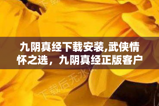 九阴真经正版客户端获取实用指南图片