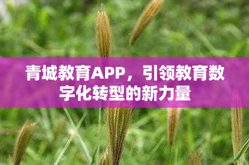 引领教育数字化转型的新力量图片