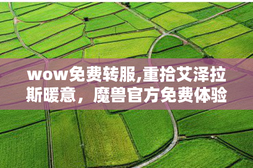 魔兽官方免费体验活动带来全新冒险乐趣图片