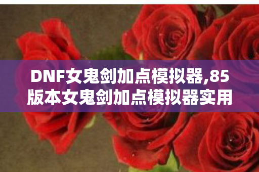85版本女鬼剑加点模拟器实用指南图片